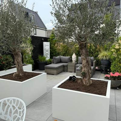 plantenbak_terras_400x400